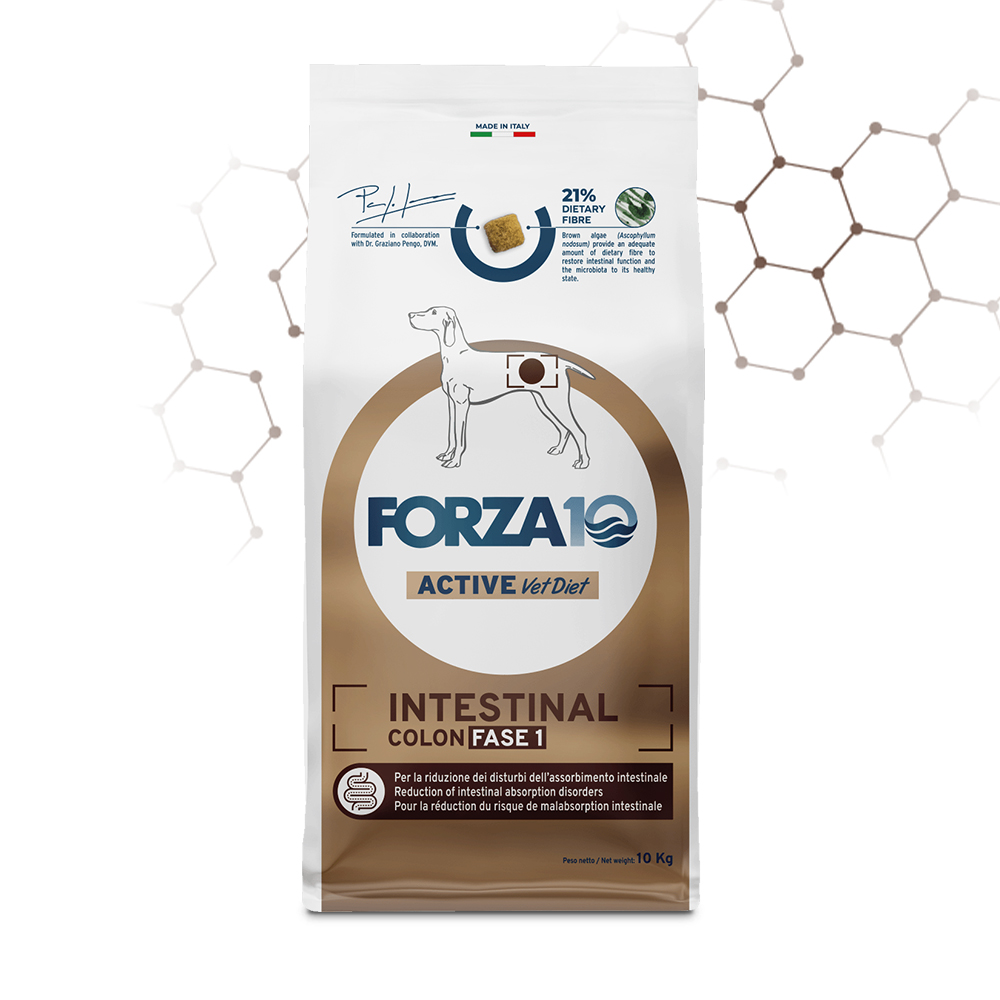 Forza10 - Active Intestinal Colon Fase 1