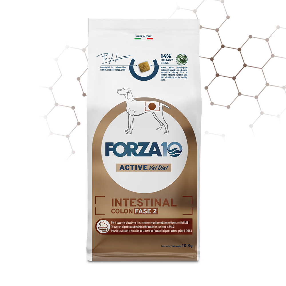 Forza10 - Active Intestinal Colon Fase 2