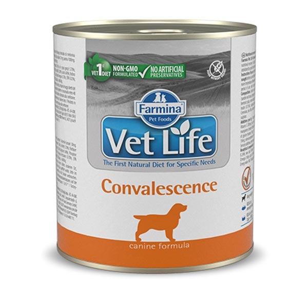 Farmina - Vet Life Convalescence 300 g