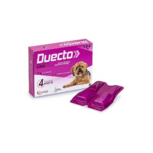 Candioli - Duecto Spot-on 4 Pipette 1,5-4 Kg