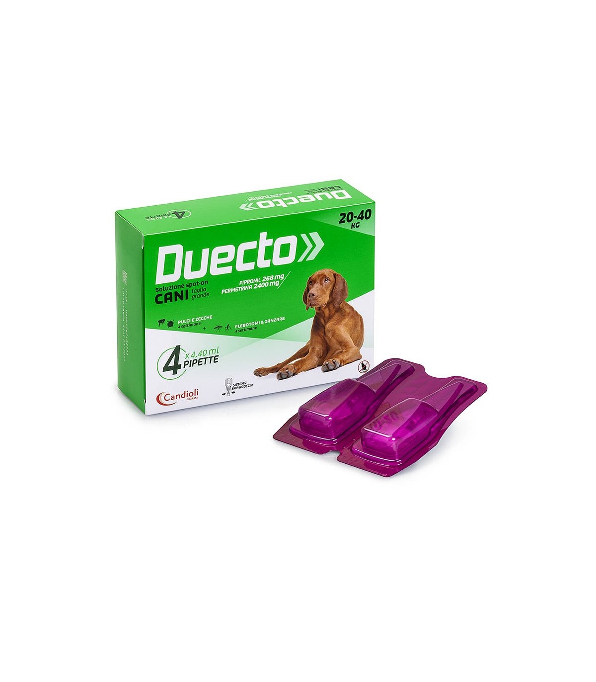 Candioli - Duecto Spot-on 4 Pipette 20-40 Kg