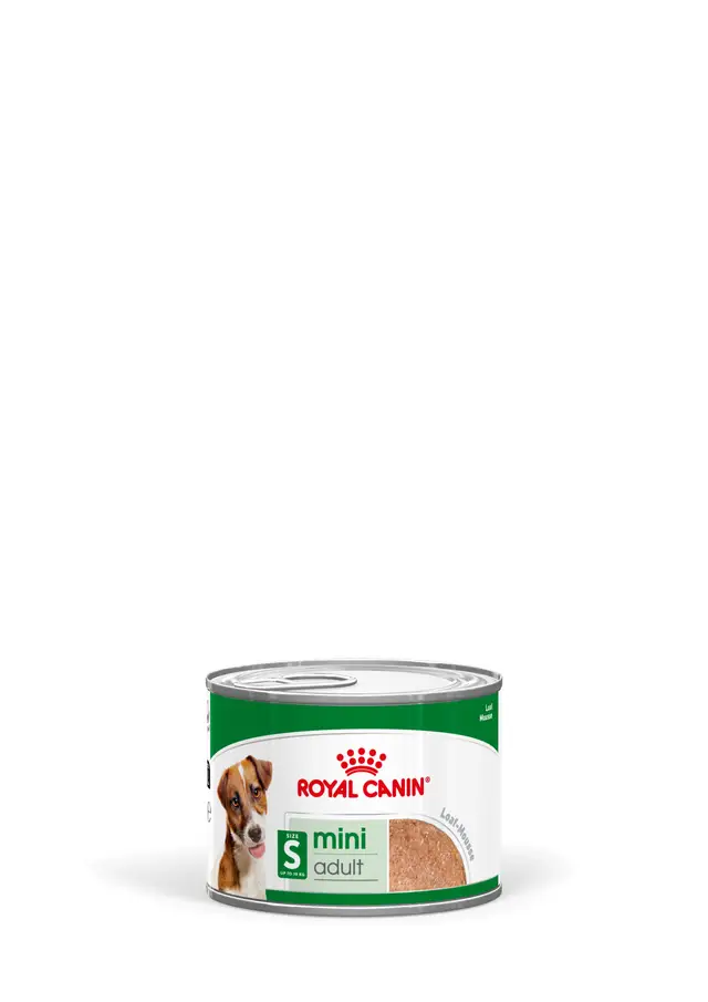 Royal Canin - Mini Adult Umido Lattina 190 g