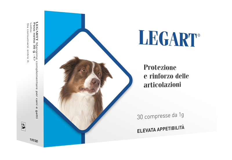 Aurora Biofarma - Legart 30 Compresse