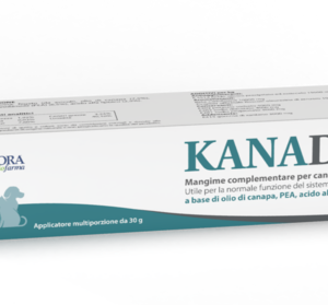 Aurora Biofarma - Kanadol Pasta 30 g