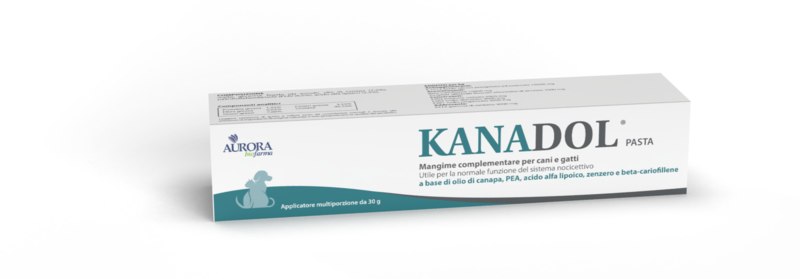 Aurora Biofarma - Kanadol Pasta 30 g