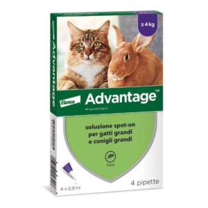 Elanco - Advantage Spot On per Gatti e Conigli >4 Kg 80 Mg 4 Pipette