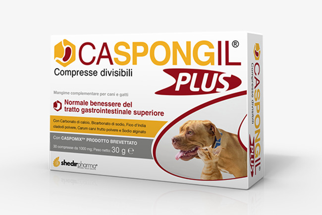 ShedrPharma - Caspongil Plus 30 Compresse