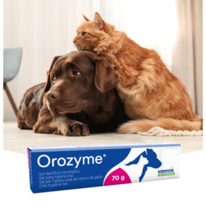 Ecuphar NV - Orozyme Gel 70 g