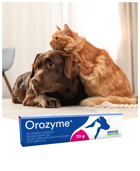 Ecuphar NV - Orozyme Gel 70 g