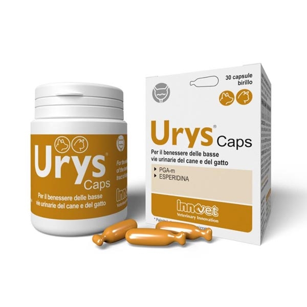 Innovet - Urys Caps 30 Birilli
