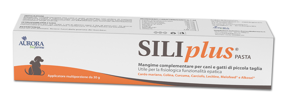 Aurora Biofarma - Siliplus Pasta 30 g